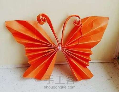 蝴蝶折纸 蝴蝶的折法 手工简单又漂亮 第16步