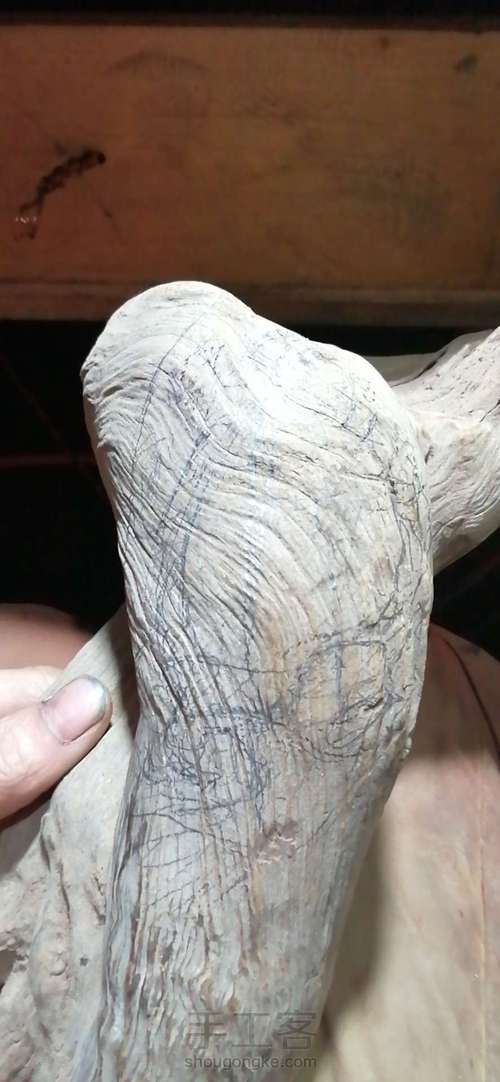 太行崖柏金蟾制作这个有点难度对于新手 第1步