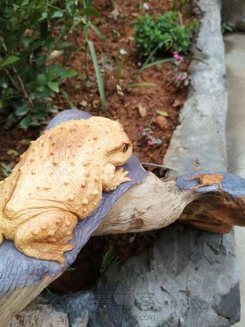 太行崖柏金蟾制作这个有点难度对于新手 第11步