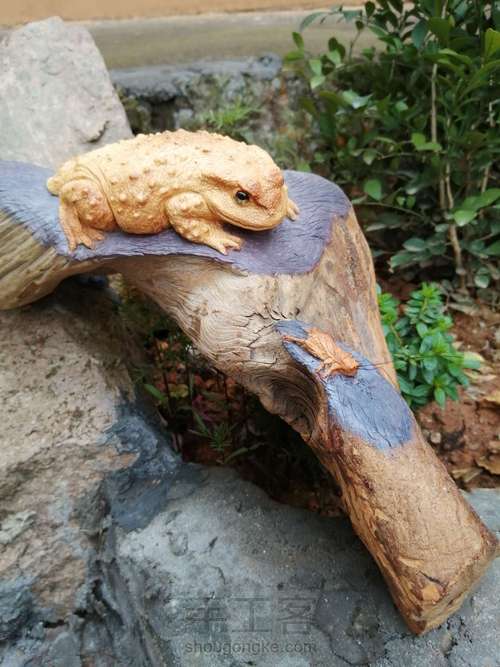 太行崖柏金蟾制作这个有点难度对于新手 第13步