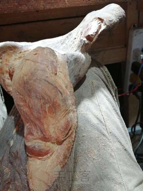 太行崖柏金蟾制作这个有点难度对于新手 第5步