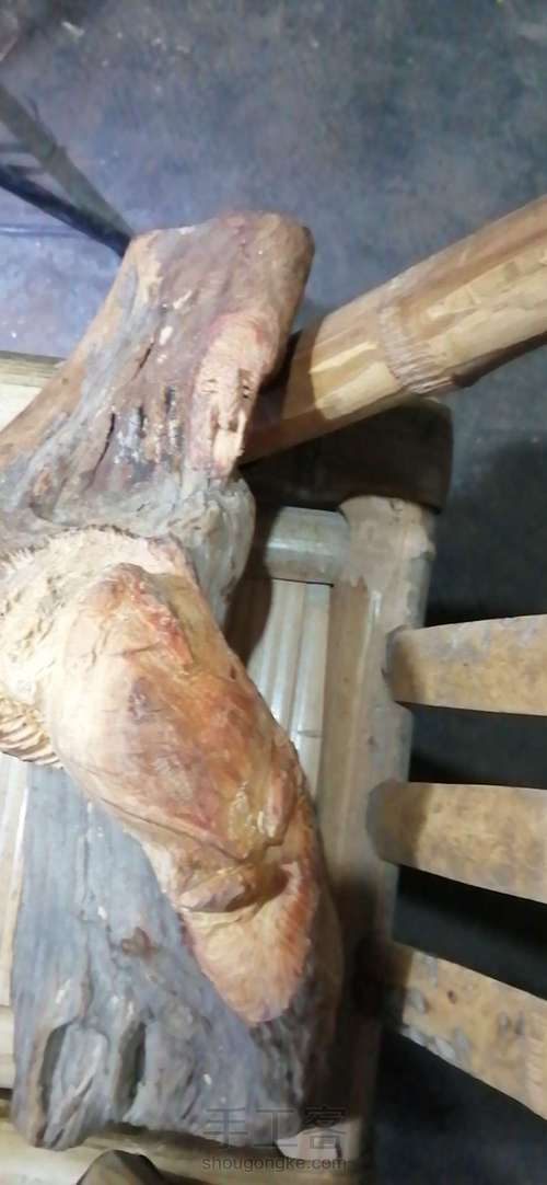 太行崖柏金蟾制作这个有点难度对于新手 第6步