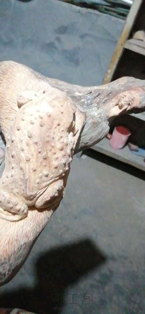 太行崖柏金蟾制作这个有点难度对于新手 第7步