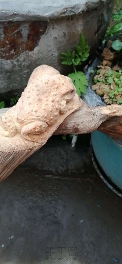 太行崖柏金蟾制作这个有点难度对于新手 第8步