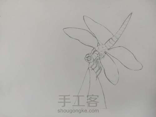 《蜻蜓》彩铅画 第1步