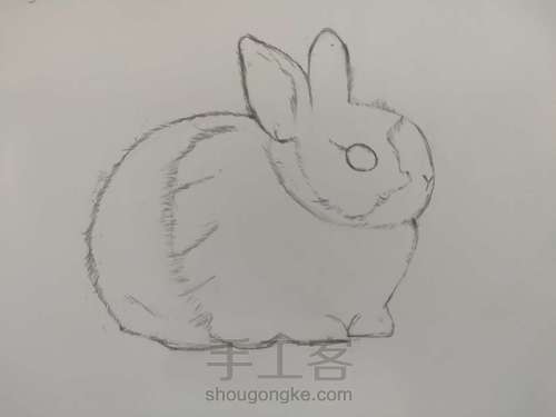 彩铅分享【小兔】 第1步