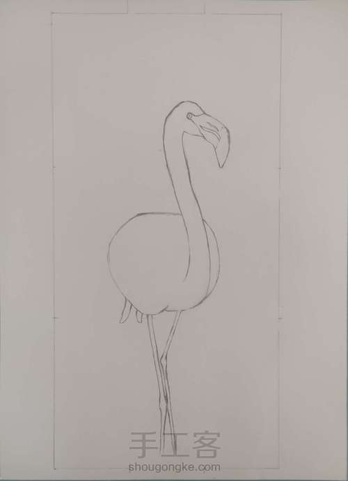 彩铅画【火烈鸟】 第1步