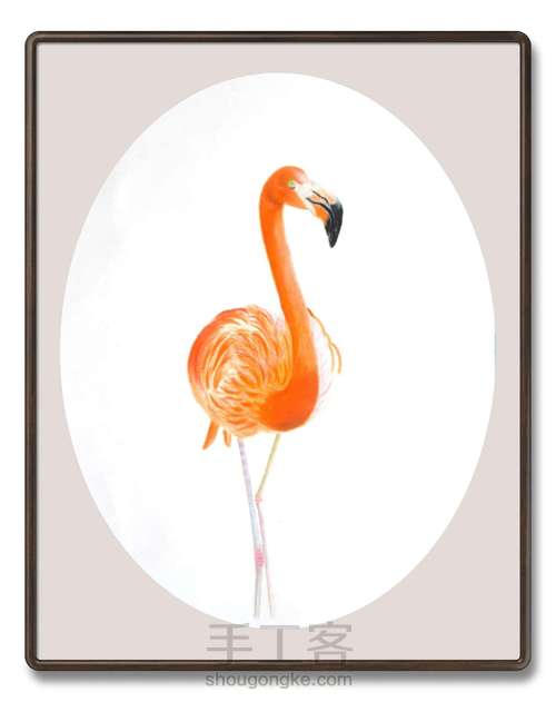 彩铅画【火烈鸟】 第5步