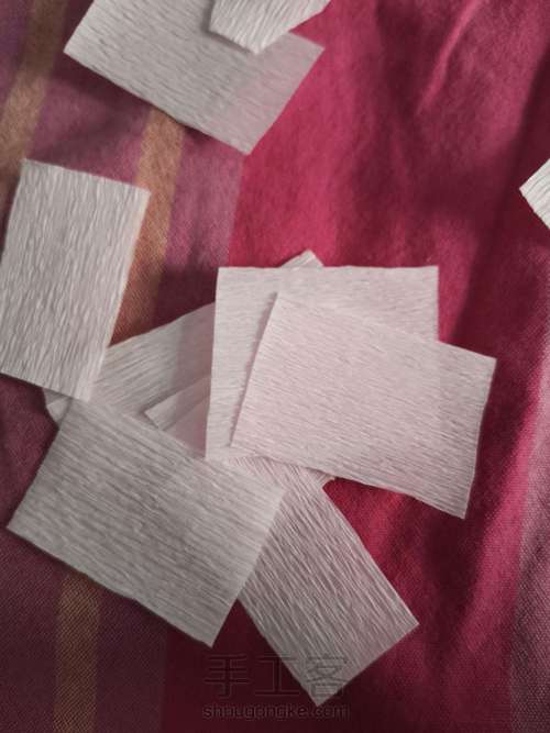 牡丹教程 第1步