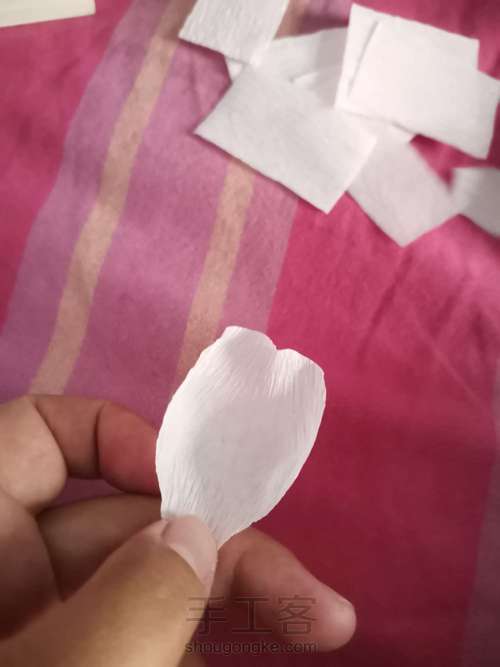 牡丹教程 第3步