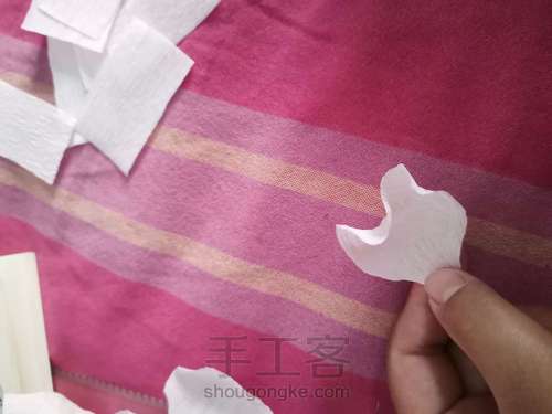 牡丹教程 第5步