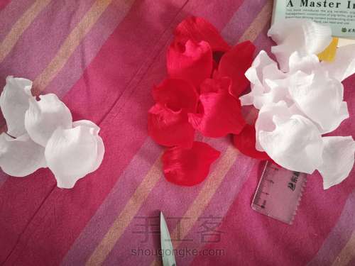 牡丹教程 第6步