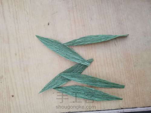 牡丹教程 第9步