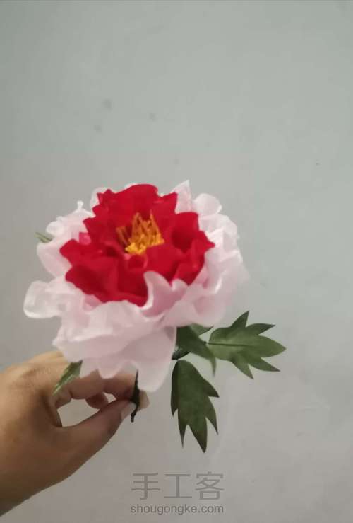 牡丹教程 第10步