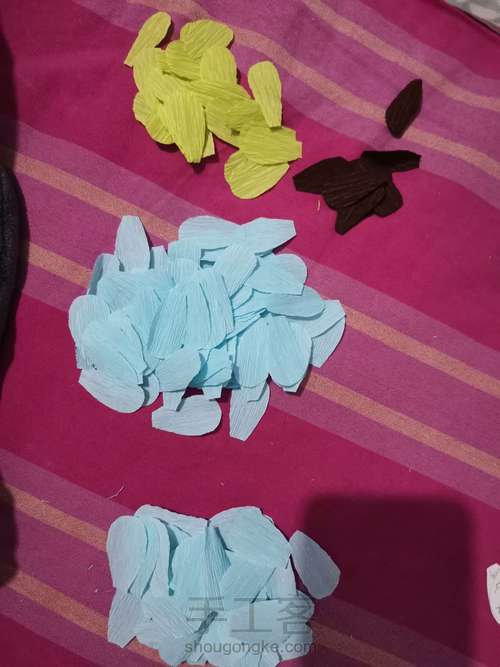 洋牡丹教程 第2步