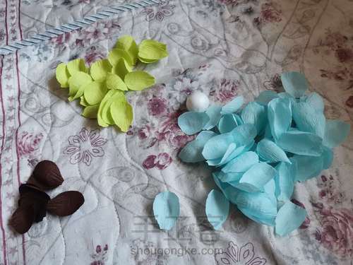 洋牡丹教程 第3步