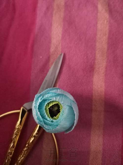 洋牡丹教程 第4步