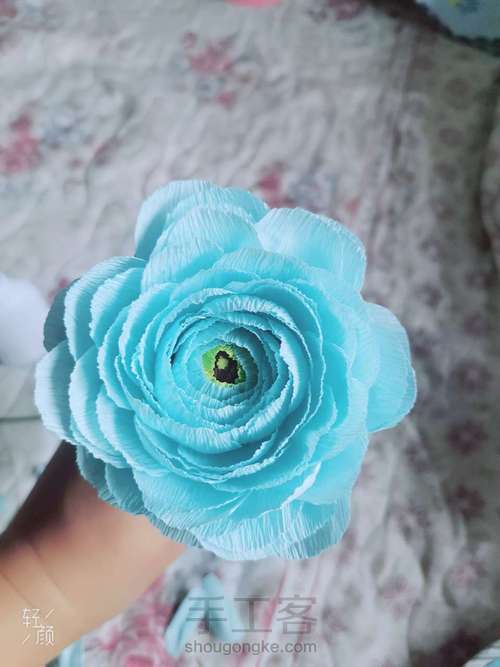 洋牡丹教程 第5步