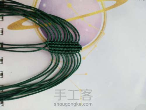 牡丹花叶子 第2步