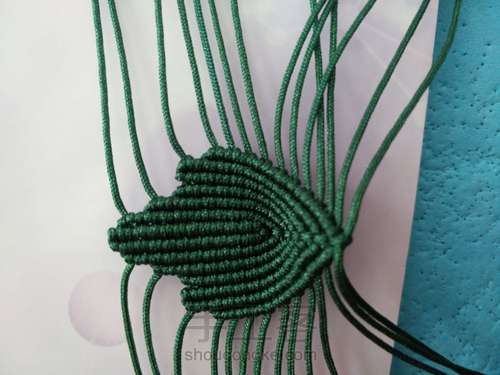 牡丹花叶子 第5步