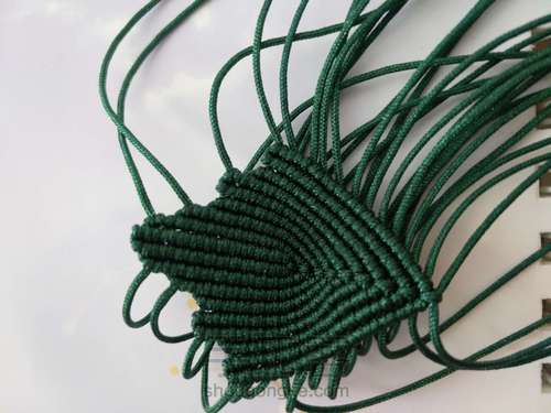 牡丹花叶子 第6步