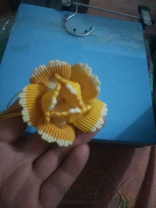 牡丹花叶子 第11步