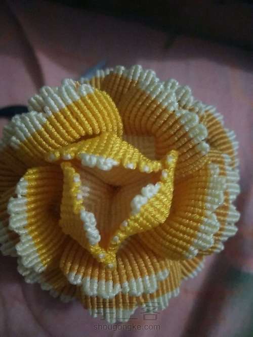 牡丹花叶子 第13步