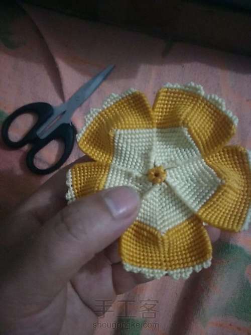 牡丹花叶子 第14步