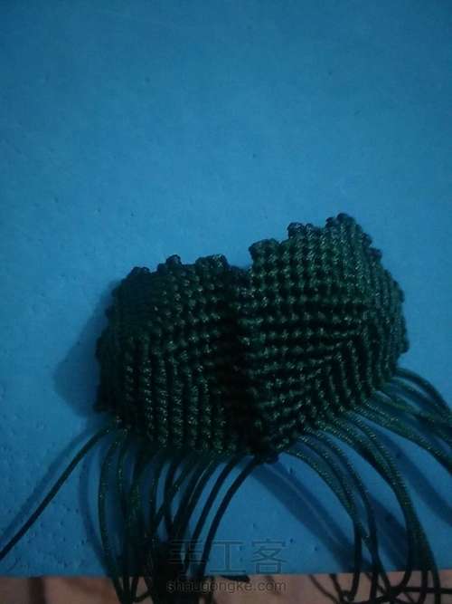 牡丹花叶子 第16步