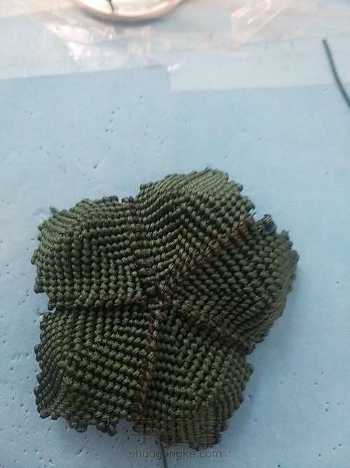 牡丹花叶子 第17步