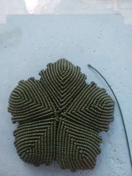 牡丹花叶子 第18步