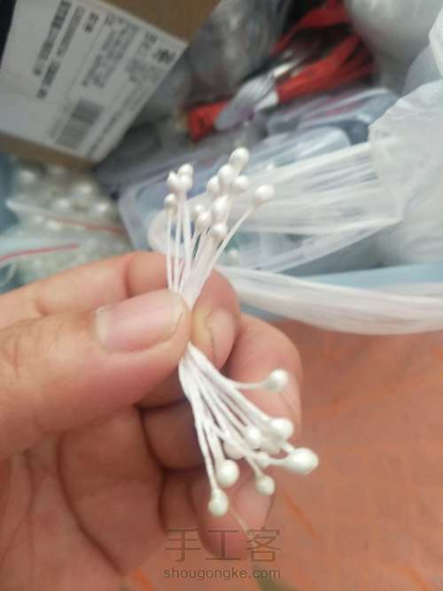 牡丹花叶子 第19步