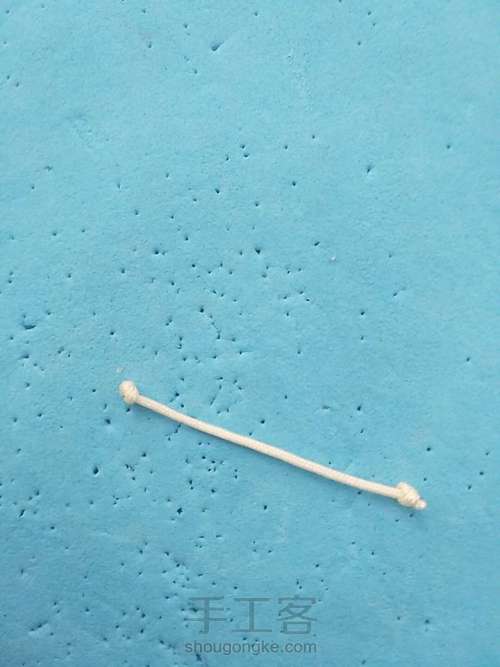 牡丹花叶子 第20步