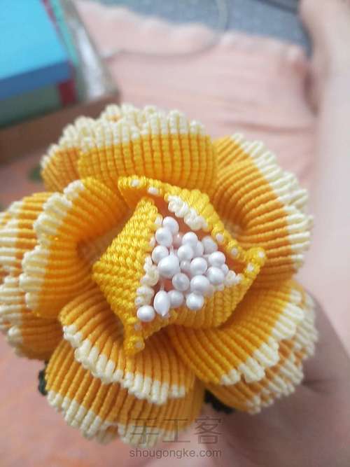 牡丹花叶子 第21步