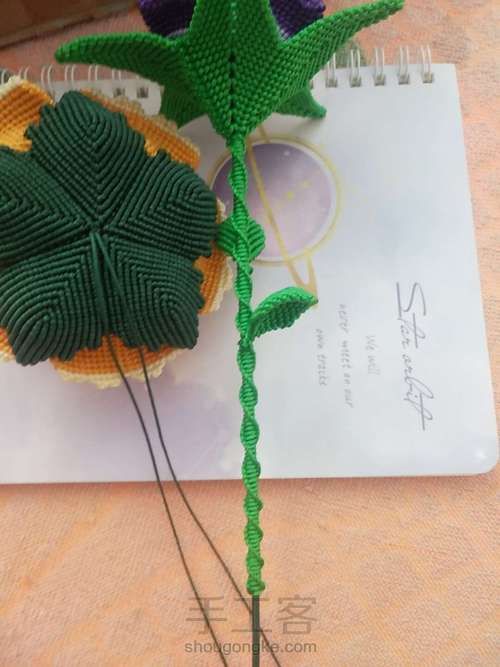 牡丹花叶子 第23步