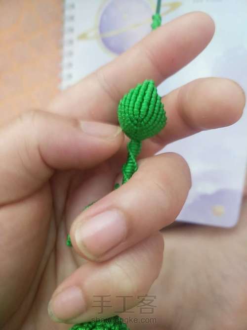 牡丹花叶子 第24步