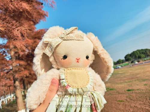 【教程】洛丽塔兔兔出生记 第1步