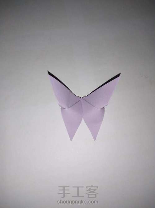 纸蝴蝶🦋 第6步