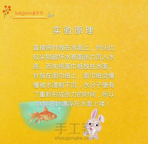 让针漂起来――【趣玩科学】第十三弹 第6步