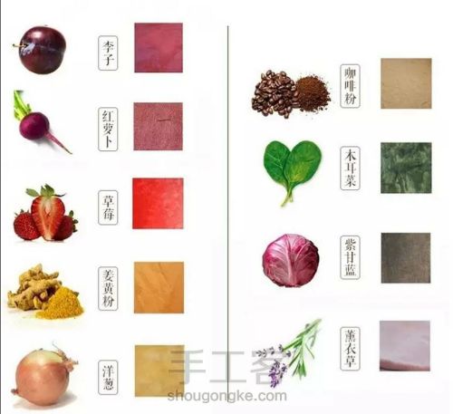 如何用果皮或蔬菜染出漂亮的织物（来源网络） 第2步