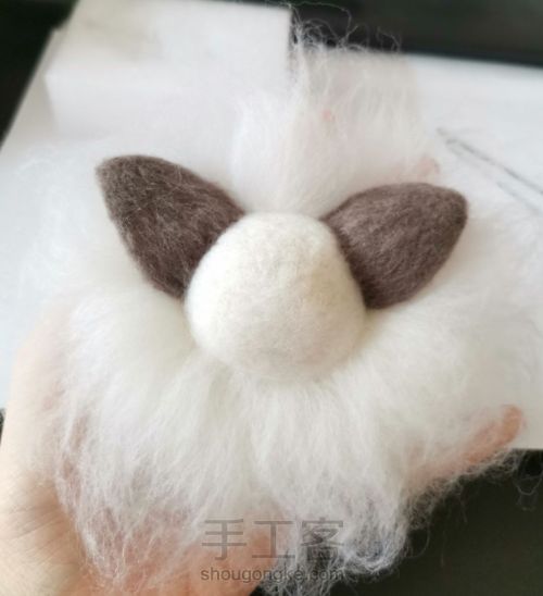 羊毛毡
布偶猫 第22步