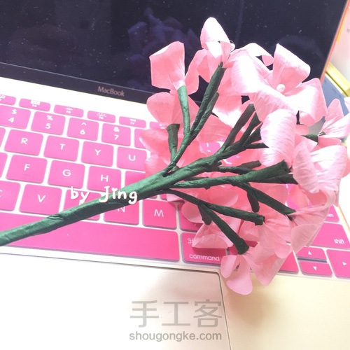 💐纸藤绣球花 第15步