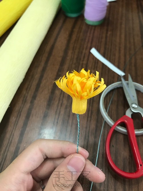 牡丹•国色天香 第5步