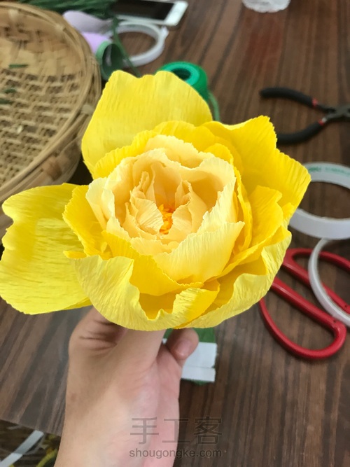 牡丹•国色天香 第9步