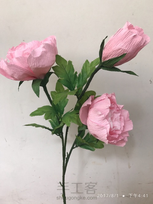 牡丹•国色天香 第15步