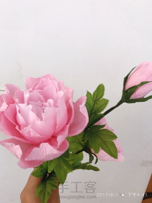 牡丹•国色天香 第17步