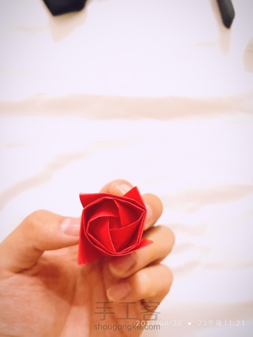 折り紙-折纸•玫瑰I 第15步