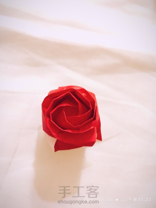 折り紙-折纸•玫瑰I 第26步