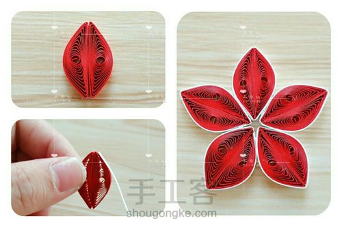 圣诞节衍纸《圣诞花教程》 第2步