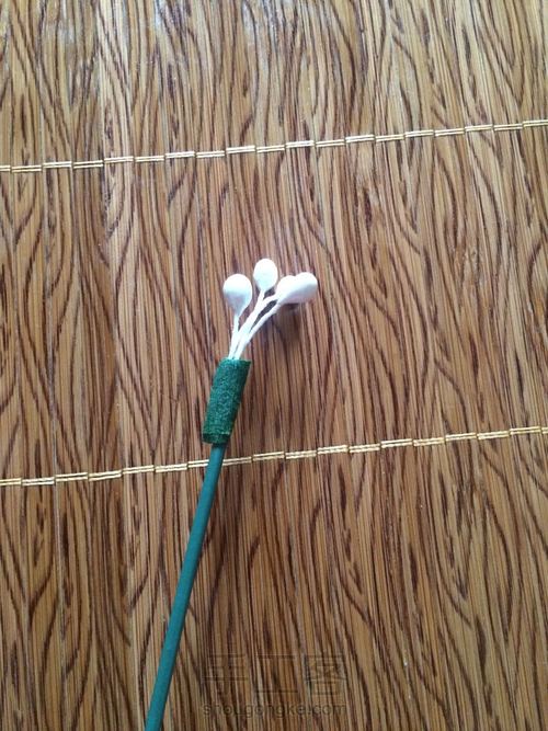 丝。网。花。🌹 第12步